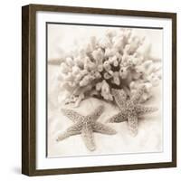 La Mer 1-Alan Blaustein-Framed Photographic Print