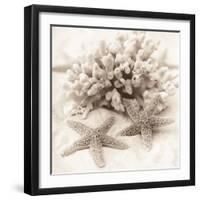 La Mer 1-Alan Blaustein-Framed Photographic Print