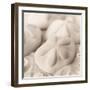 La Mer 4-Alan Blaustein-Framed Photographic Print