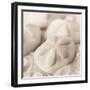 La Mer 4-Alan Blaustein-Framed Photographic Print