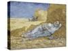 La méridienne ou la sieste (d'après Millet)-Vincent van Gogh-Stretched Canvas