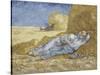 La méridienne ou la sieste (d'après Millet)-Vincent van Gogh-Stretched Canvas