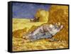 La Méridienne Ou La Sieste, Siesta at Noon, after 1866 Pastel Drawing by Millet, 1890-Vincent van Gogh-Framed Stretched Canvas