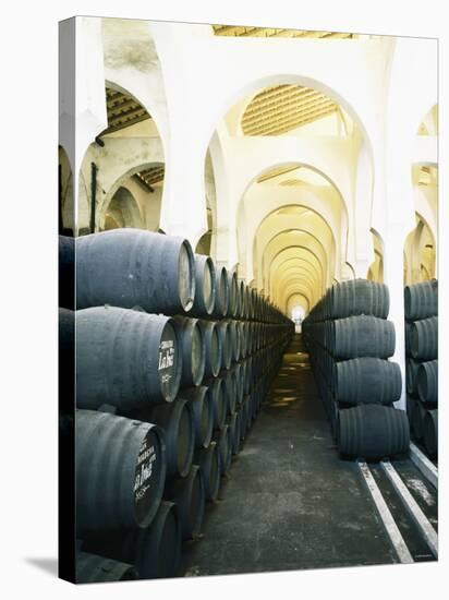 La Mezquita Winery (Jerez de la Frontera, Spain)-Hendrik Holler-Stretched Canvas