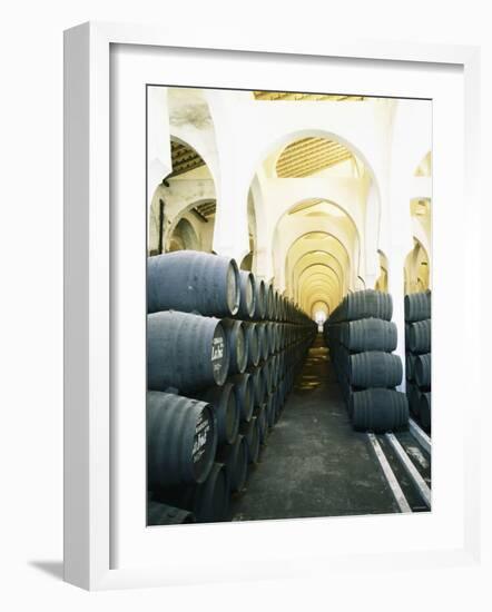 La Mezquita Winery (Jerez de la Frontera, Spain)-Hendrik Holler-Framed Photographic Print