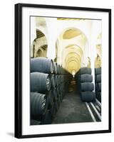 La Mezquita Winery (Jerez de la Frontera, Spain)-Hendrik Holler-Framed Photographic Print