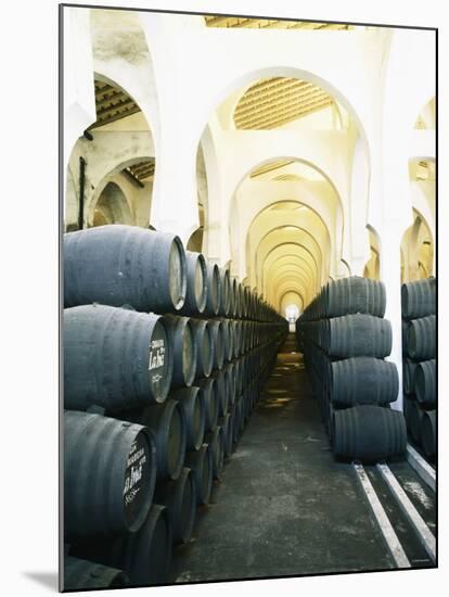 La Mezquita Winery (Jerez de la Frontera, Spain)-Hendrik Holler-Mounted Photographic Print