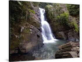 La Mina Waterfall, El Yunque, Puerto Rico-George Oze-Stretched Canvas