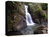 La Mina Waterfall, El Yunque, Puerto Rico-George Oze-Stretched Canvas