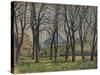 'La Montagne Sainte-Victoire', 1935-Paul Cezanne-Stretched Canvas