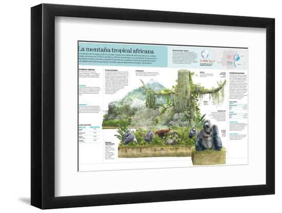 Photographic Print, , large