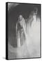 La Mort: 'C'Est Moi Qui Te Rends Serieuse;..', 1896-Odilon Redon-Framed Stretched Canvas