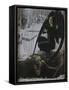 La Mort et le fossoyeur-Carlos Schwabe-Framed Stretched Canvas
