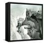 La Mortine Cave, at the Summit of the Buet (Savoy)-Leon, Levy et Fils-Framed Stretched Canvas