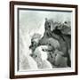 La Mortine Cave, at the Summit of the Buet (Savoy)-Leon, Levy et Fils-Framed Photographic Print