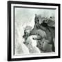 La Mortine Cave, at the Summit of the Buet (Savoy)-Leon, Levy et Fils-Framed Photographic Print