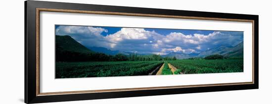 La Motte Estate, South Africa-Alan Proust-Framed Premium Giclee Print