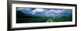 La Motte Estate, South Africa-Alan Proust-Framed Premium Giclee Print