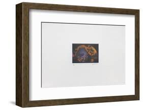 La nuit chinoise-Laurent Schkolnyk-Framed Limited Edition