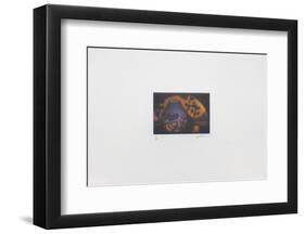 La nuit chinoise-Laurent Schkolnyk-Framed Limited Edition