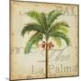 La Palma II-Patricia Pinto-Mounted Premium Giclee Print