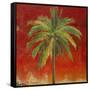 La Palma on Red I-Patricia Pinto-Framed Stretched Canvas