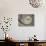 La Paloma, Atlantic Ocean Resort Town, Cabo Santa Maria Lighthouse, Interior Stairs, Uruguay-Walter Bibikow-Photographic Print displayed on a wall