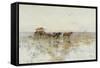 La Pampas, Latin America-Paolo Sala-Framed Stretched Canvas