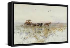 La Pampas, Latin America-Paolo Sala-Framed Stretched Canvas