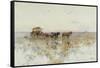 La Pampas, Latin America-Paolo Sala-Framed Stretched Canvas