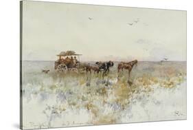 La Pampas, Latin America-Paolo Sala-Stretched Canvas