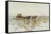 La Pampas, Latin America-Paolo Sala-Framed Stretched Canvas