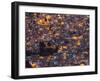 La Paz at Dusk with Patchwork Lit Up Buildings-Alex Saberi-Framed Premium Photographic Print