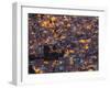 La Paz at Dusk with Patchwork Lit Up Buildings-Alex Saberi-Framed Premium Photographic Print