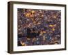 La Paz at Dusk with Patchwork Lit Up Buildings-Alex Saberi-Framed Photographic Print