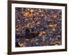 La Paz at Dusk with Patchwork Lit Up Buildings-Alex Saberi-Framed Photographic Print