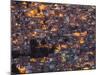 La Paz at Dusk with Patchwork Lit Up Buildings-Alex Saberi-Mounted Photographic Print