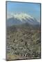 La Paz, Bolivia. Cityscape from El Alto viewpoint in La Paz, Bolivia.-Anthony Asael-Mounted Photographic Print