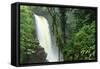 La Paz Waterfall Gardens.-Stefano Amantini-Framed Stretched Canvas