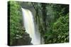 La Paz Waterfall Gardens.-Stefano Amantini-Stretched Canvas