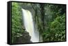 La Paz Waterfall Gardens.-Stefano Amantini-Framed Stretched Canvas