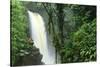 La Paz Waterfall Gardens.-Stefano Amantini-Stretched Canvas