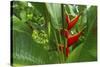 La Paz Waterfall Gardens.-Stefano Amantini-Stretched Canvas