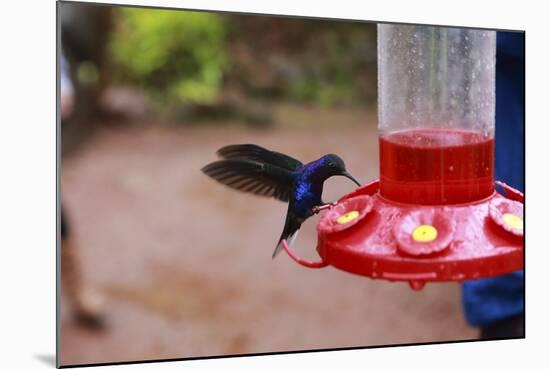 La Paz Waterfall Gardens.-Stefano Amantini-Mounted Photographic Print