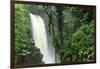 La Paz Waterfall Gardens.-Stefano Amantini-Framed Photographic Print