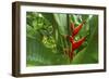 La Paz Waterfall Gardens.-Stefano Amantini-Framed Photographic Print