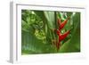 La Paz Waterfall Gardens.-Stefano Amantini-Framed Photographic Print