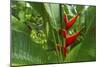 La Paz Waterfall Gardens.-Stefano Amantini-Mounted Photographic Print