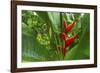 La Paz Waterfall Gardens.-Stefano Amantini-Framed Photographic Print