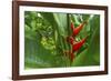 La Paz Waterfall Gardens.-Stefano Amantini-Framed Photographic Print